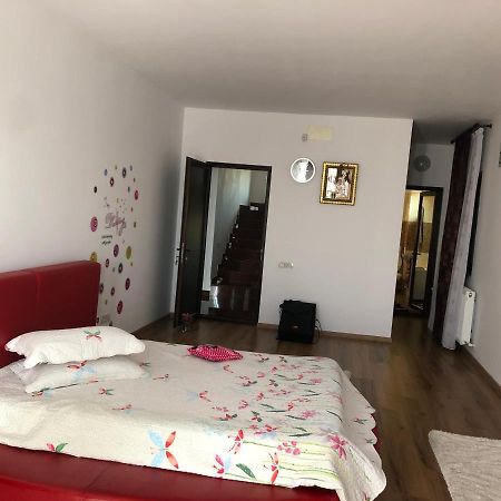 Adelina Daire Schitu Dış mekan fotoğraf